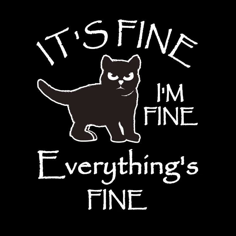 Son cadeau de chat fin Im Fine Everythings