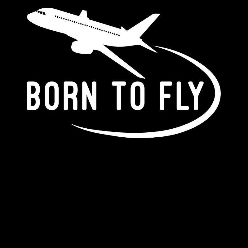 École de pilotage de pilote d'avion Born To Fly