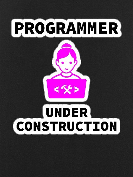 Girl Programmer Under Construction, Programming