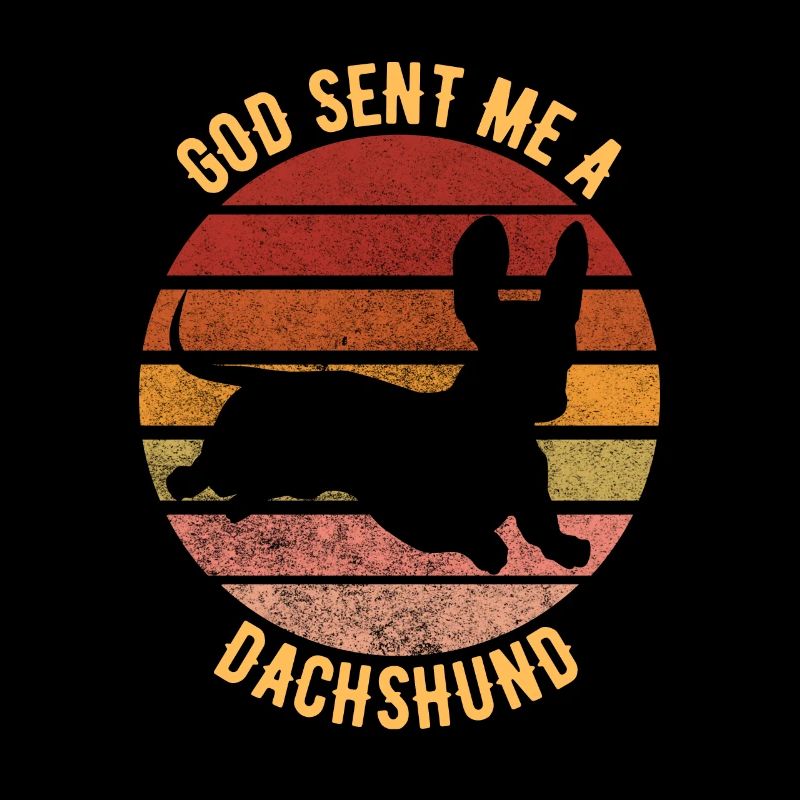 Gott schickte mir einen Dackel
