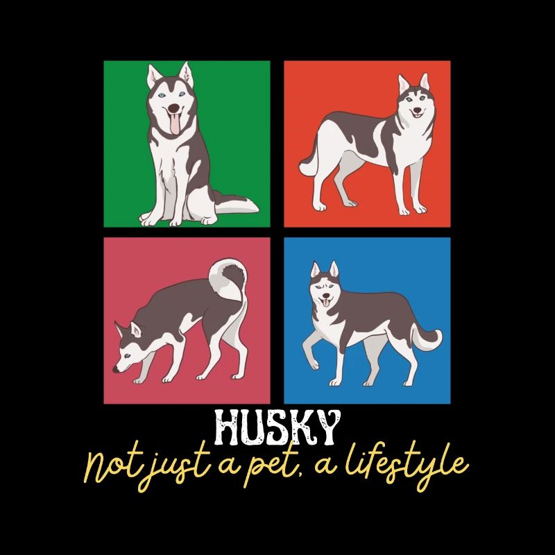 Nicht nur ein Haustier Ein Lebensstil Husky Sibirische Huskies