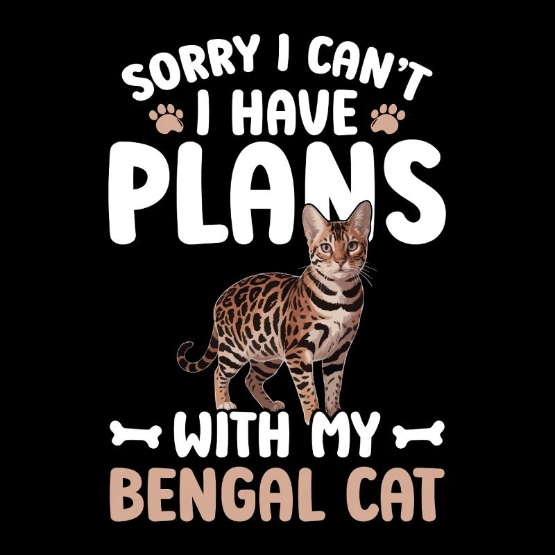 Désolé, je n’arrive pas à faire de plans avec mon