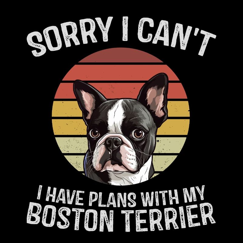 Désolé, je ne peux pas, j’ai des projets avec mon Boston