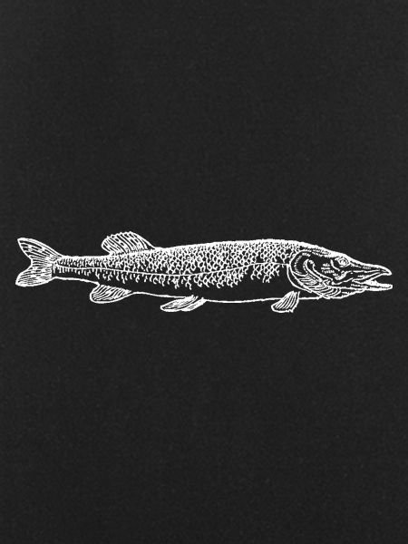 Pike