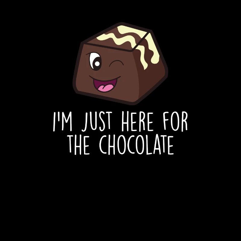 Chocolate Lover Chocolate Milk Chocolate Bars