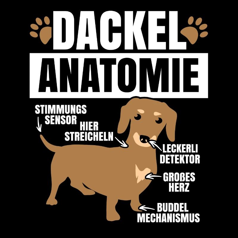 Dackel Anatomie