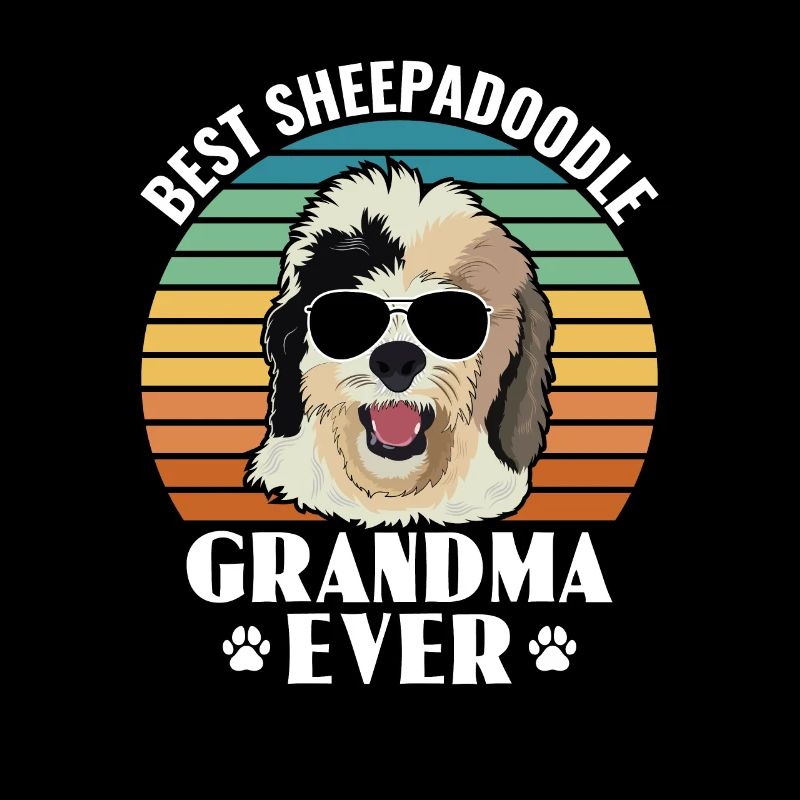 Sheepadoodle Doodle Chien