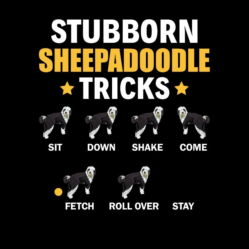 Sheepadoodle Doodle Hund