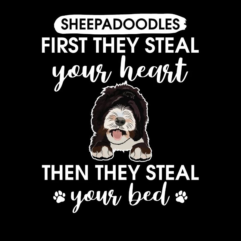 Sheepadoodle Doodle Dog