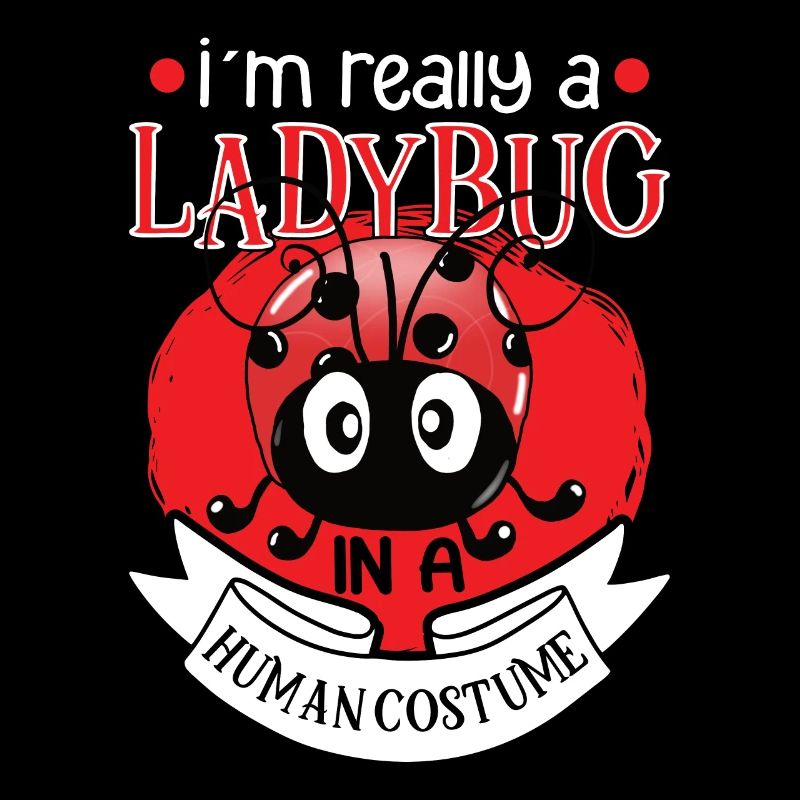 Ladybug Ladybug Entomology Insects