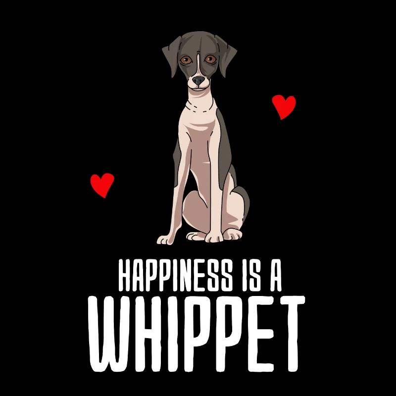 Whippet