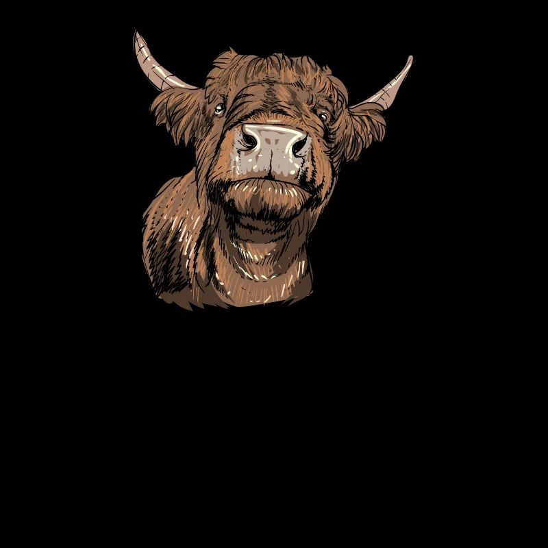 Galloway cattle I Scotland cattle breeding for