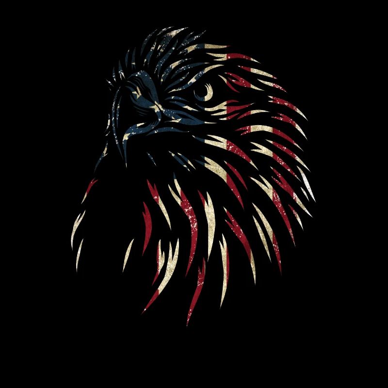 U.S. flag American Power July 4