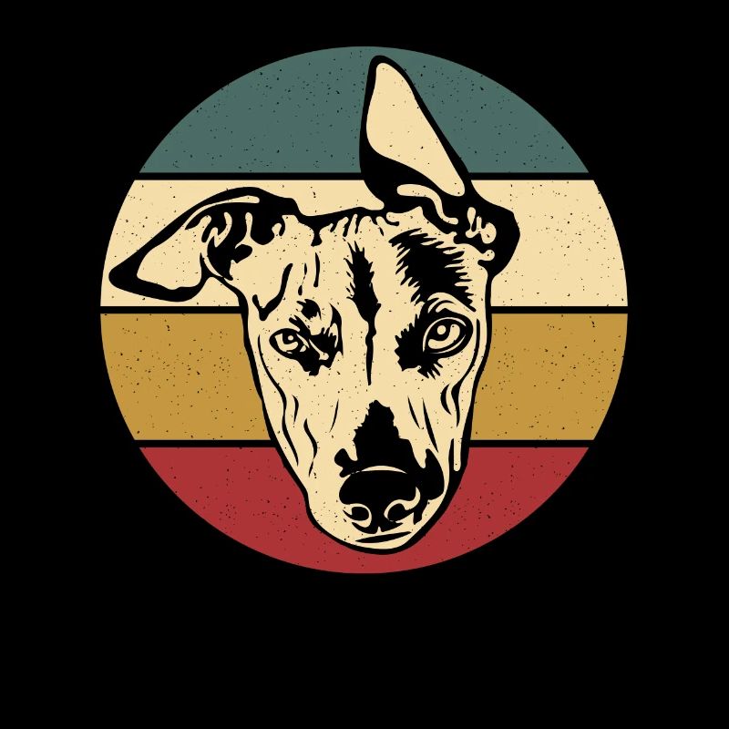 Whippet