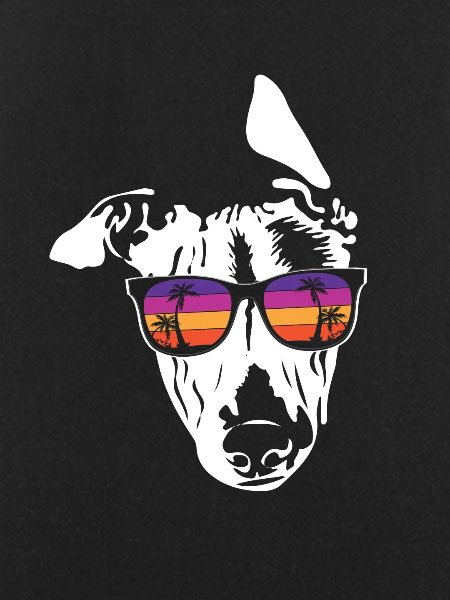 Whippet