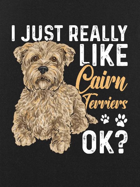 Cairn Terrier Dog