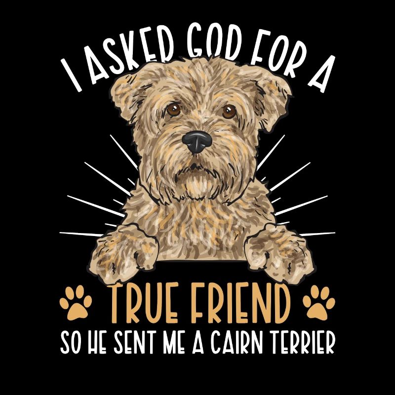 Cairn Terrier Chien