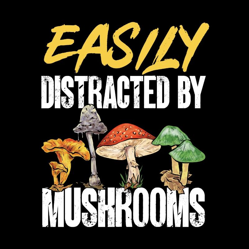 Cueillette de champignons Cueillette de champignons Cueillette de champignons