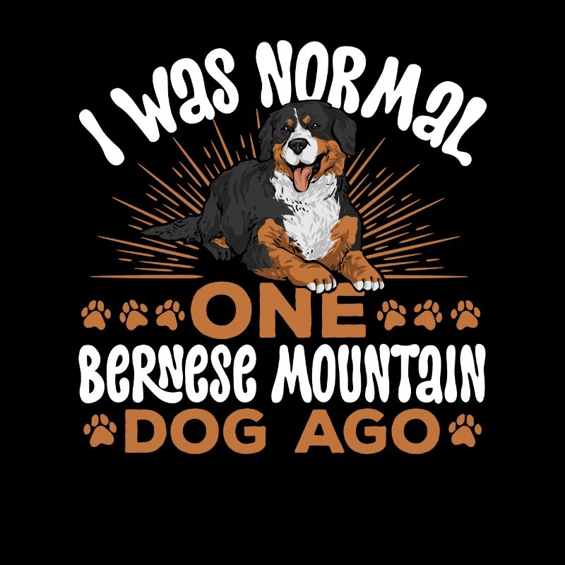 Bouvier bernois