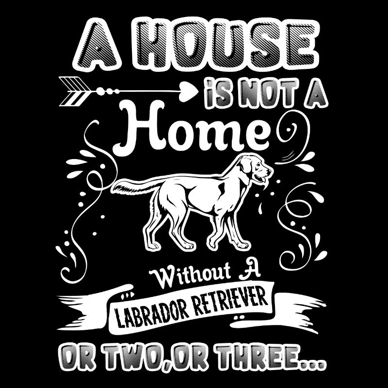 Labrador Retriever Home Without Labrador Retriever