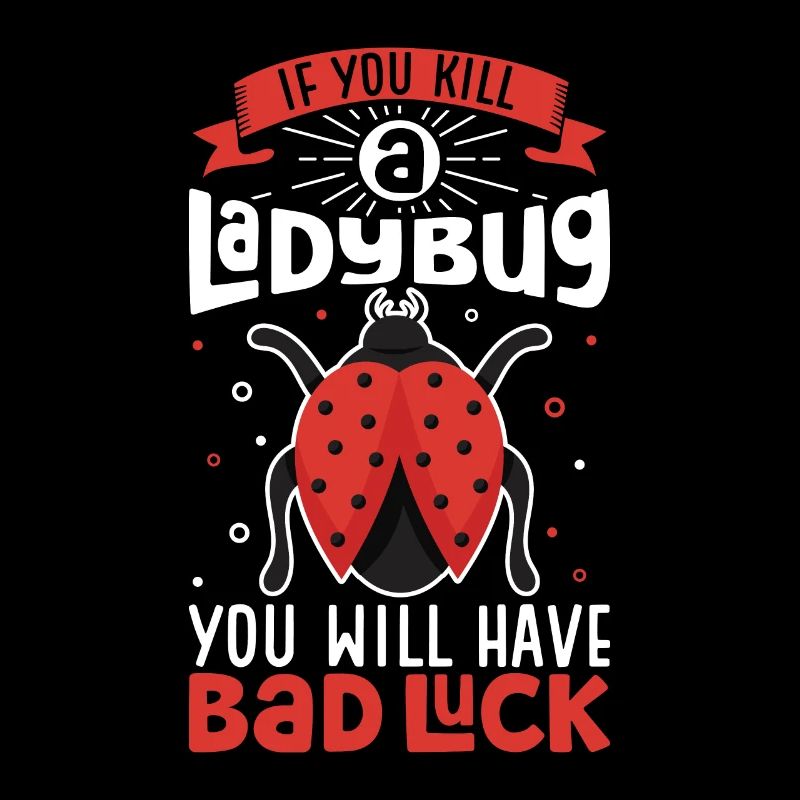 Ladybug Ladybug Entomology Insects