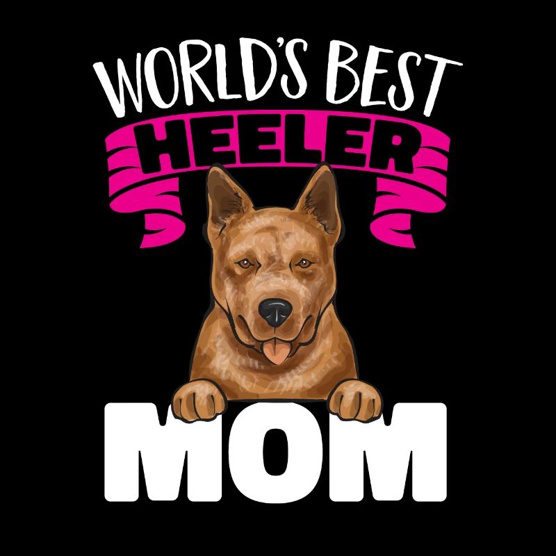 Bouvier australien Red Blue Heeler