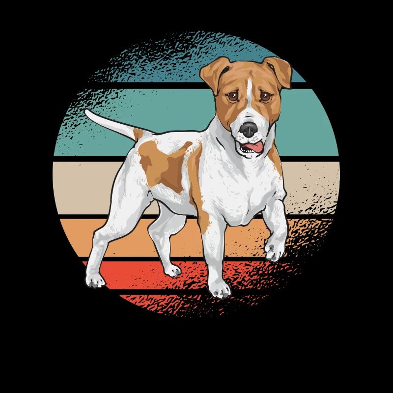 Jack Russell Terrier