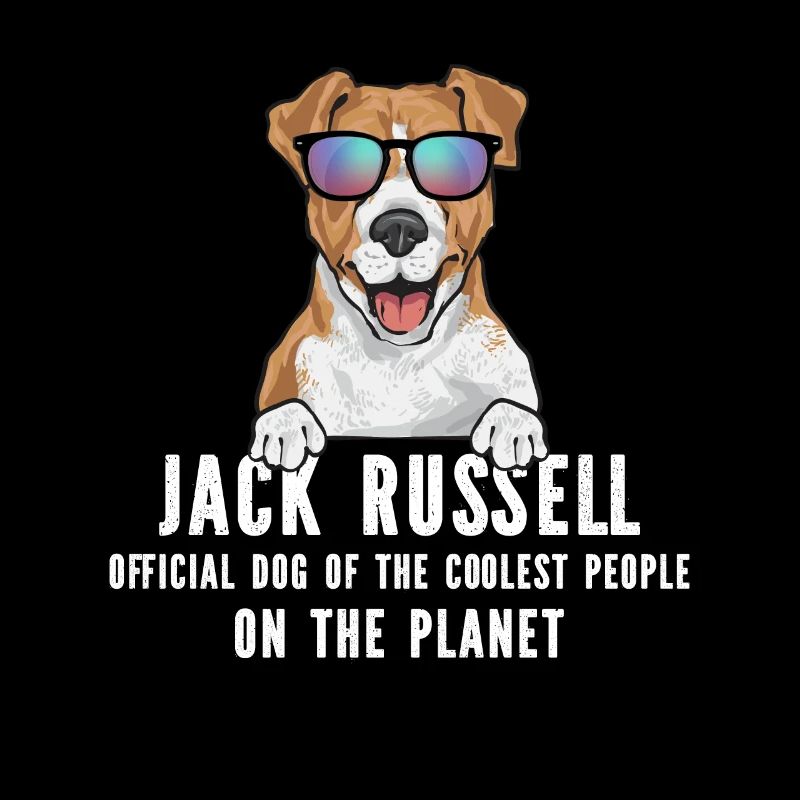 Jack Russell Terrier