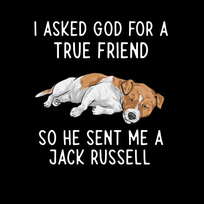 Jack Russell Terrier