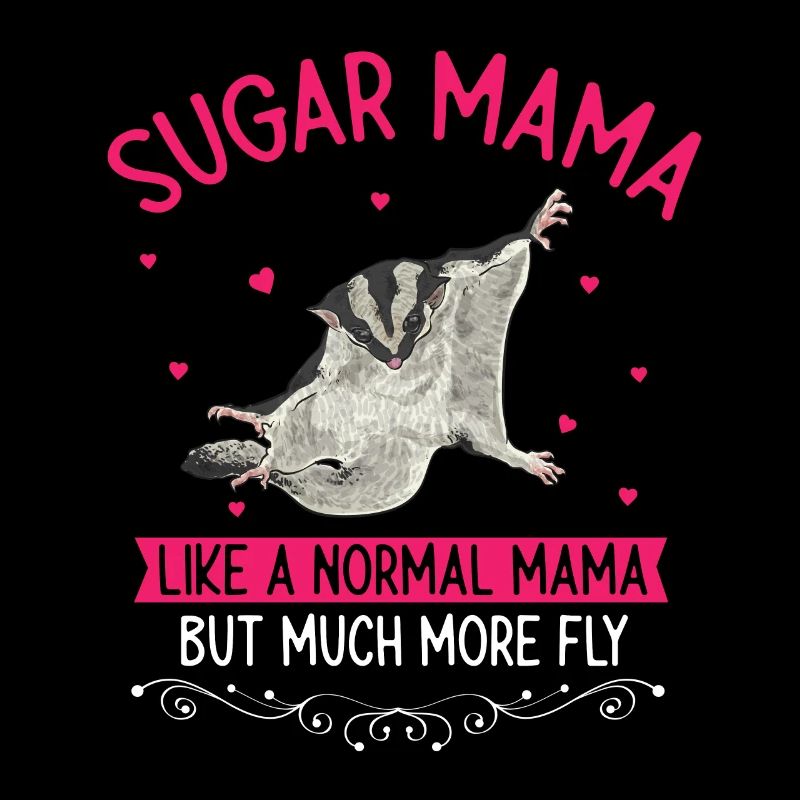Kurzkopfgleitbeutler Sugar Glider
