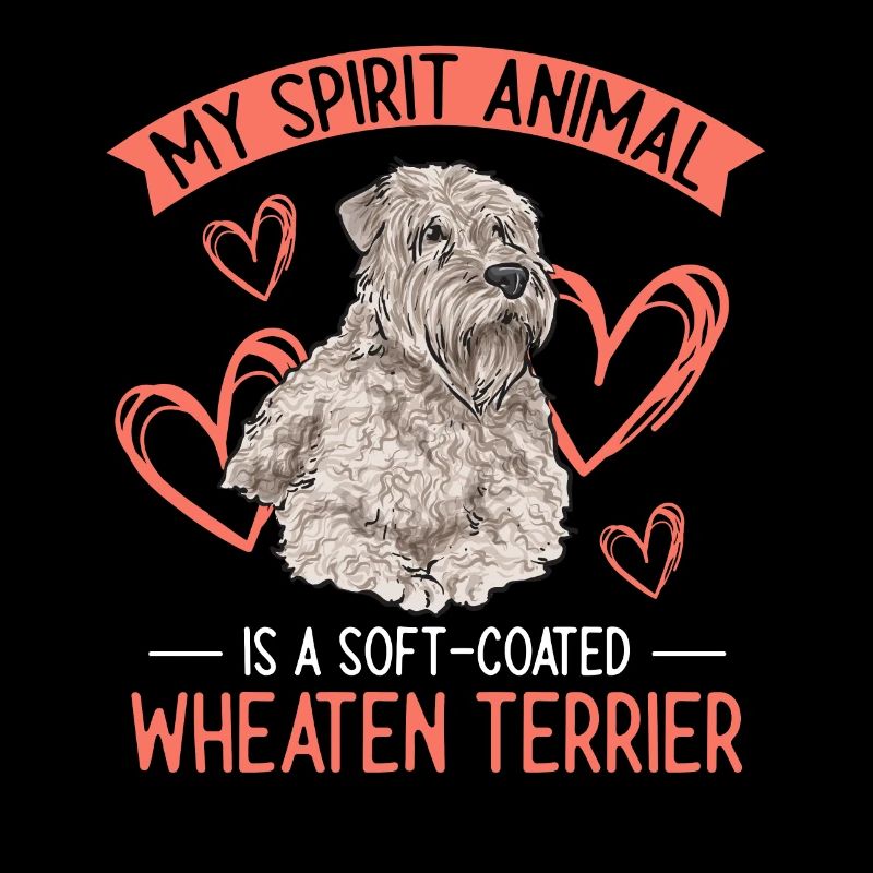 Terrier irlandais à enrobage doux