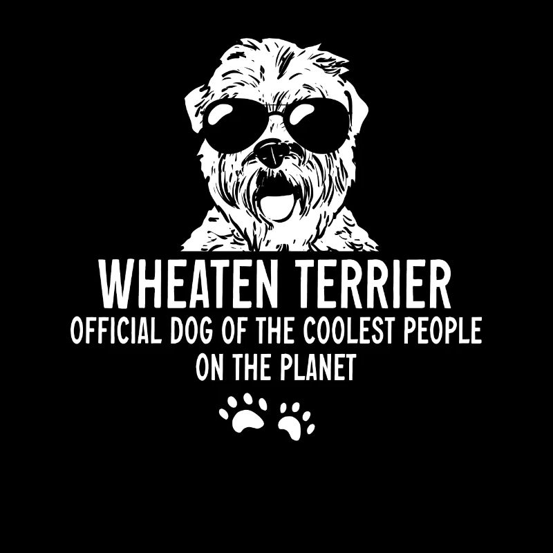 Irish Soft Coated Wheaten Terrier