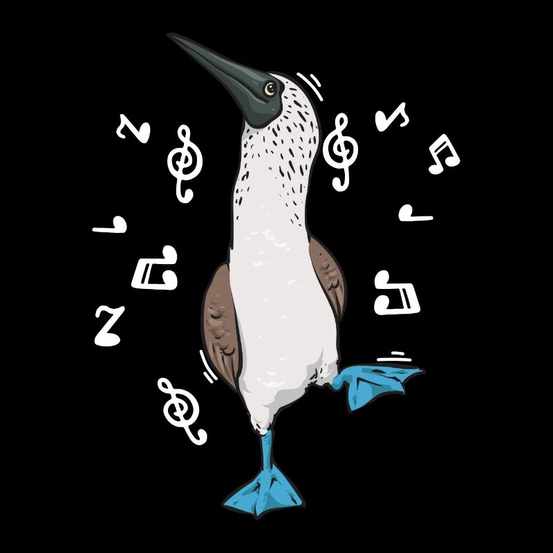 Blaufußtölpel Blue-footed Booby Seevogel