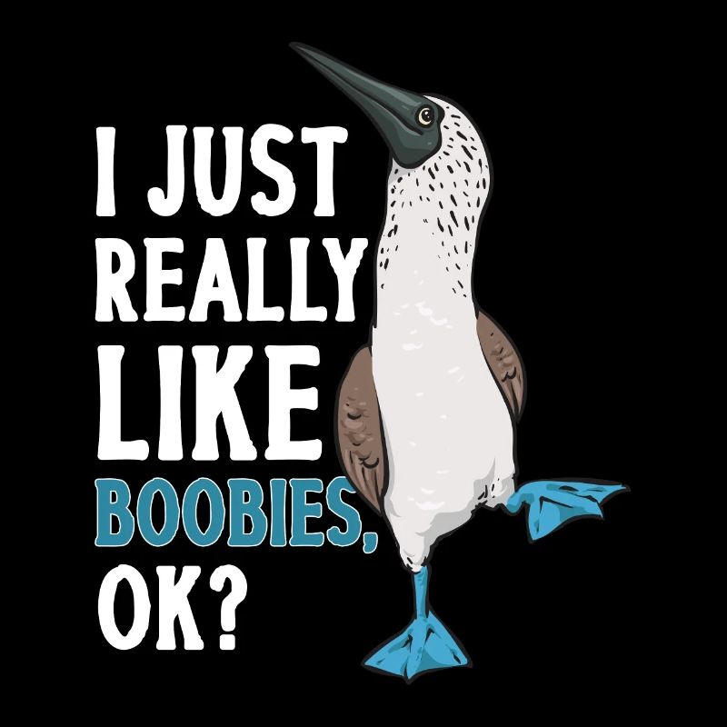 Blaufußtölpel Blue-footed Booby Seevogel