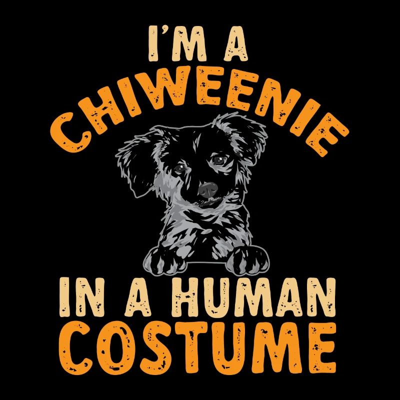 Chiweenie Dog