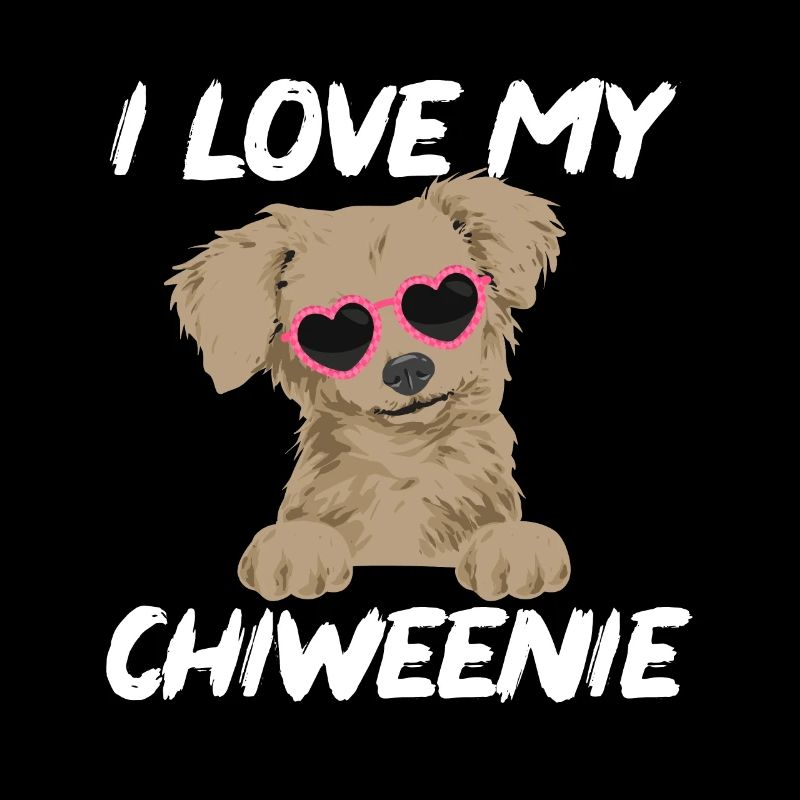 Chiweenie Dog
