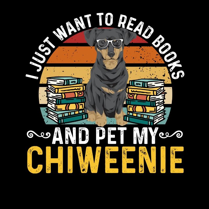 Chiweenie Dog