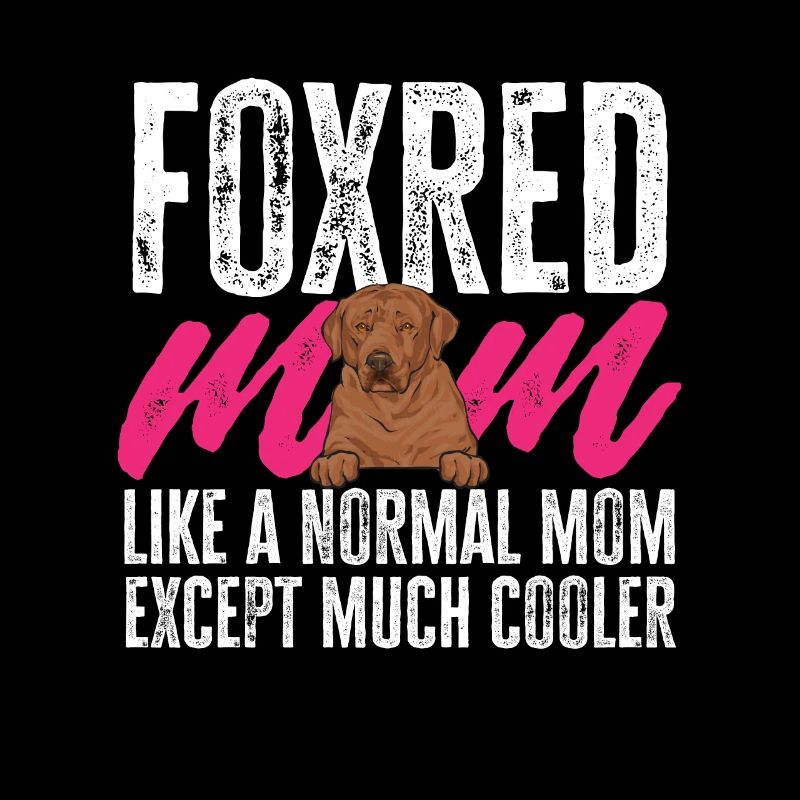 Foxred Labrador Fuchsroter Labrador Retriever
