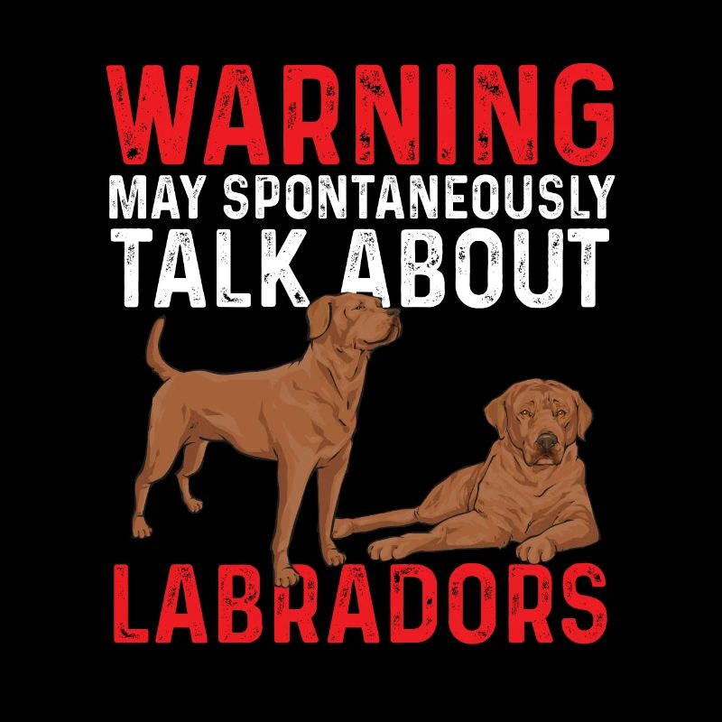 Foxred Labrador Fox Red Labrador Retriever