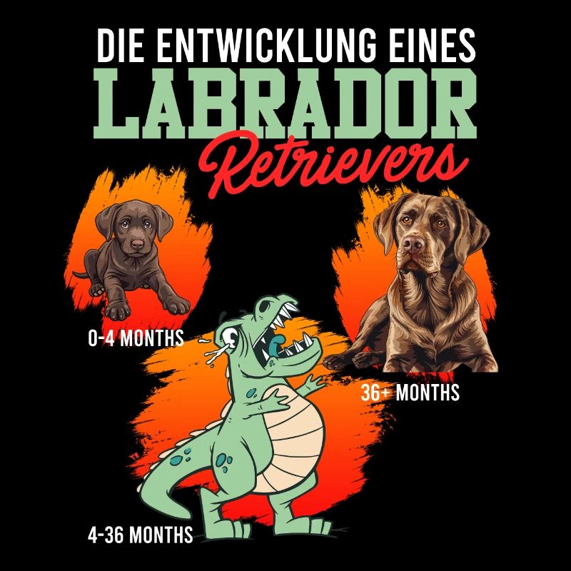 Labrador Fan DIE ENTWICKLUNG EINES LABRADOR