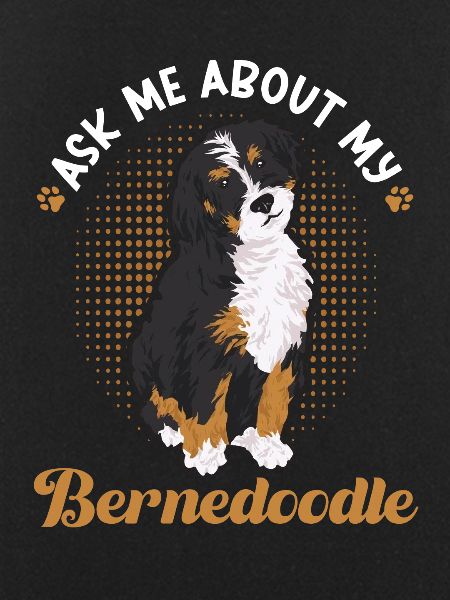 Bernedoodle Dog