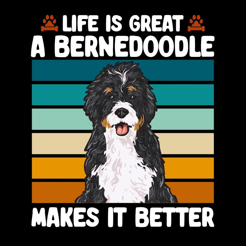 Bernedoodle Hund
