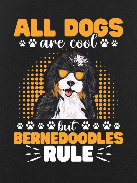 Bernedoodle Dog