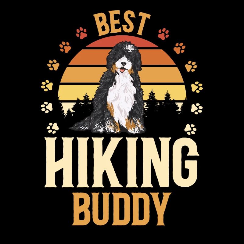 Bernedoodle Hund