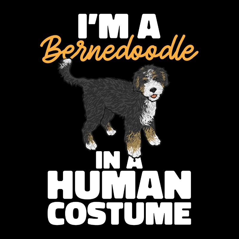 Bernedoodle Hund