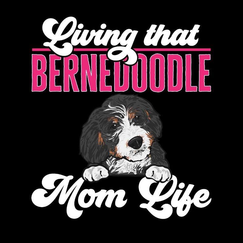 Bernedoodle Hund