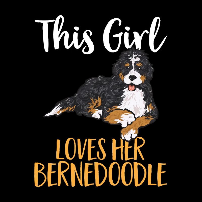 Bernedoodle Hund