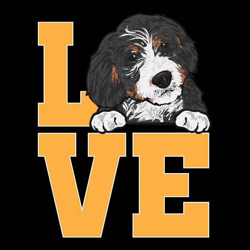 Bernedoodle Hund
