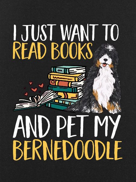 Bernedoodle Dog