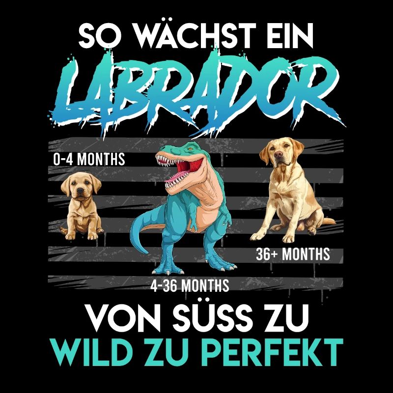 Labrador Hund SO WÄCHST EIN LABRADOR Lustiges